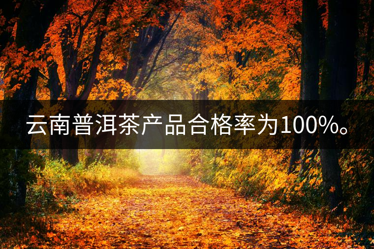 云南普洱茶產(chǎn)品合格率為100%。