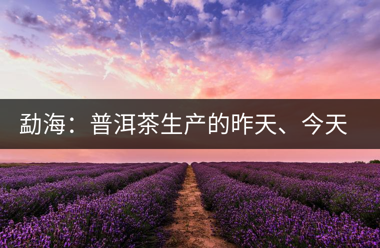 勐海：普洱茶生產(chǎn)的昨天、今天、明天