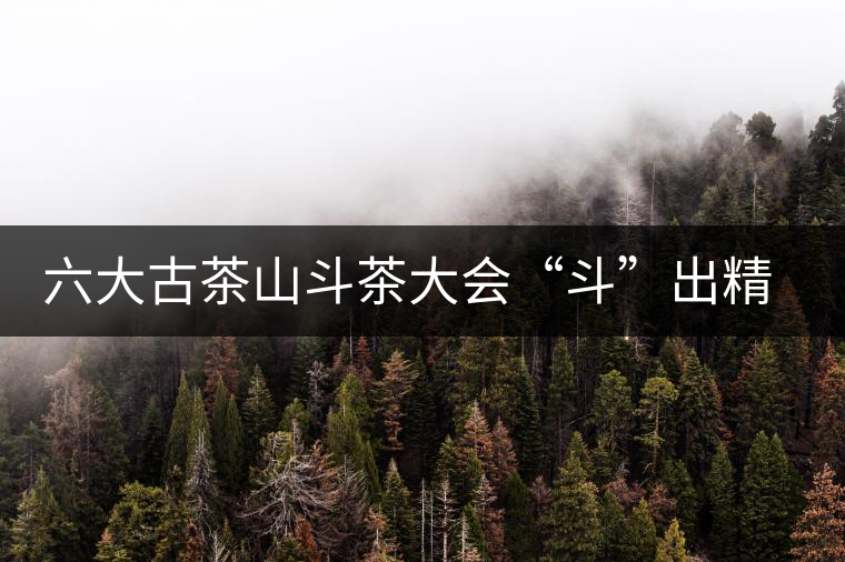 六大古茶山斗茶大會(huì)“斗”出精彩和希望