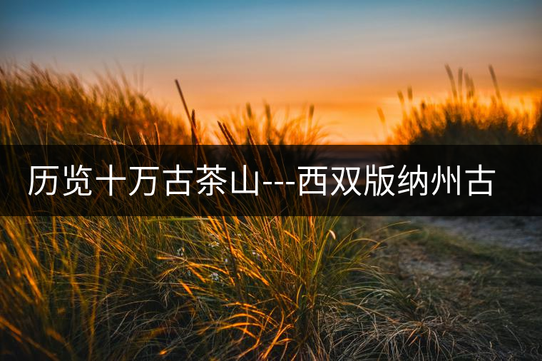 歷覽十萬(wàn)古茶山---西雙版納州古茶樹(shù)古茶園(下) 歷覽十萬(wàn)古茶山---西雙版納州古茶樹(shù)古茶園(下)