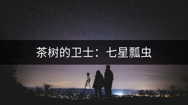 茶樹的衛(wèi)士：七星瓢蟲