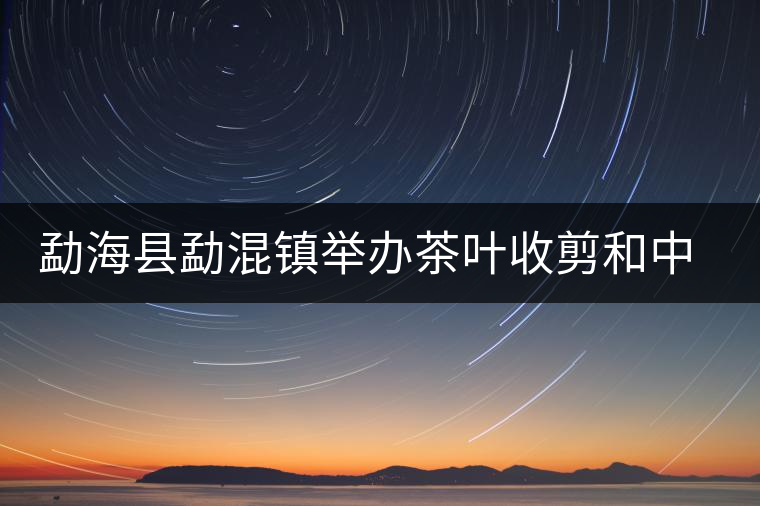 勐?？h勐混鎮(zhèn)舉辦茶葉收剪和中耕培土現(xiàn)場培訓(xùn)會