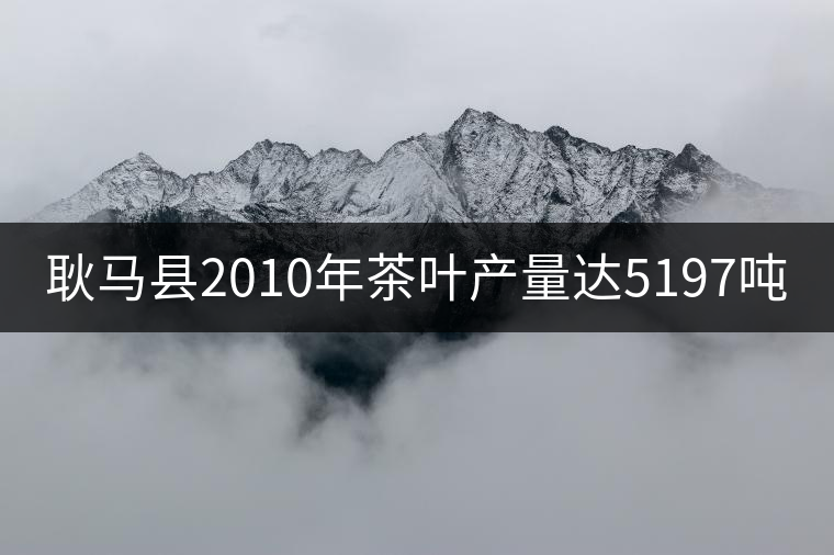 耿馬縣2010年茶葉產量達5197噸