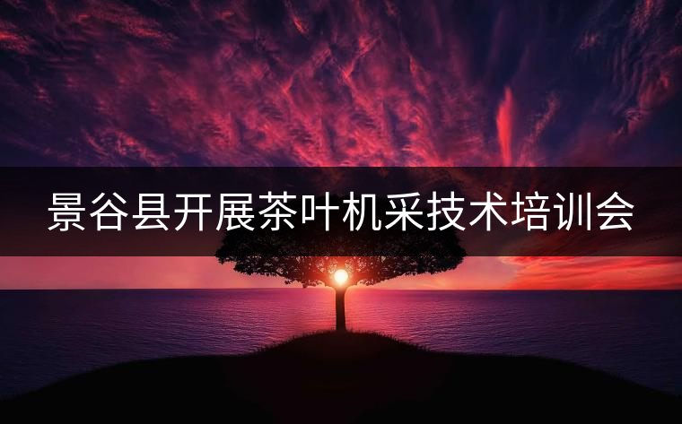 景谷縣開展茶葉機采技術(shù)培訓(xùn)會