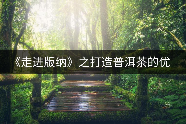 《走進版納》之打造普洱茶的優(yōu)質(zhì)基地