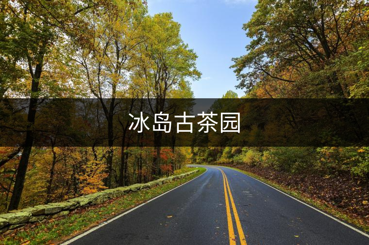 冰島古茶園 冰島古茶園