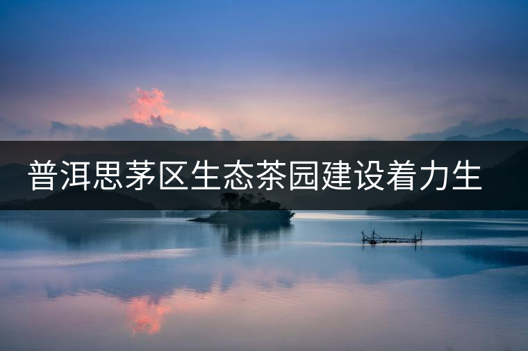 普洱思茅區(qū)生態(tài)茶園建設著力生物多樣性立體復合式 普洱思茅區(qū)生態(tài)茶園建設著力生物多樣性立體復合式