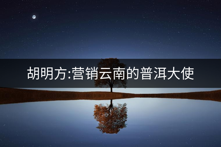 胡明方:營銷云南的普洱大使