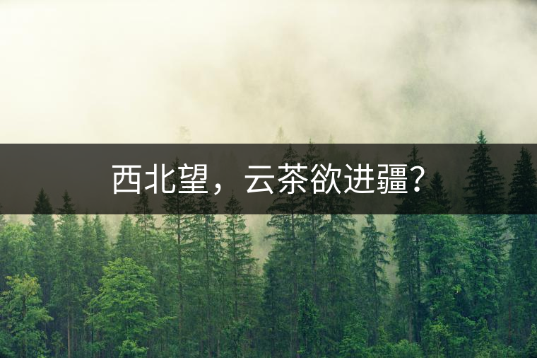 西北望，云茶欲進疆？