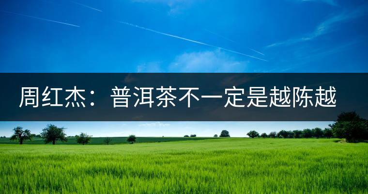 周紅杰：普洱茶不一定是越陳越香、越陳越好