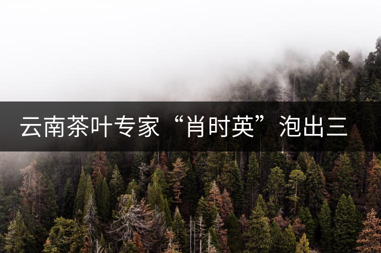 云南茶葉專家“肖時英”泡出三道茶 云南茶葉專家“肖時英”泡出三道茶