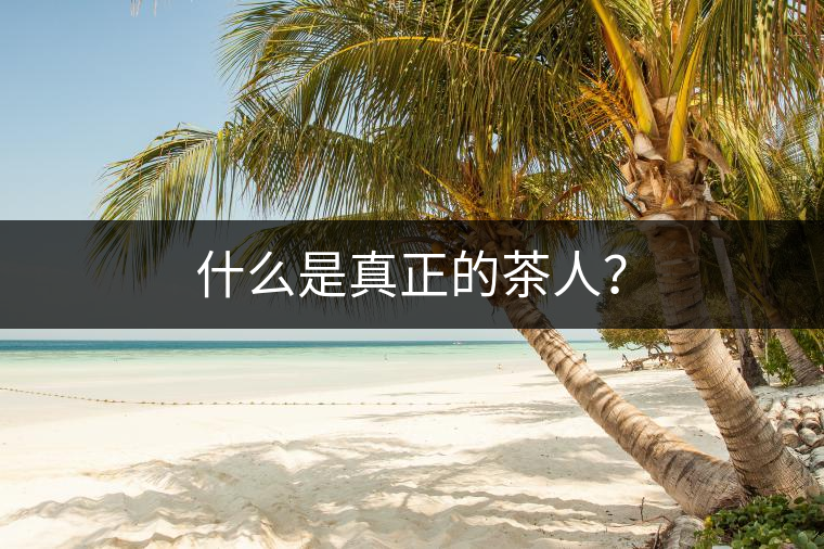 什么是真正的茶人？