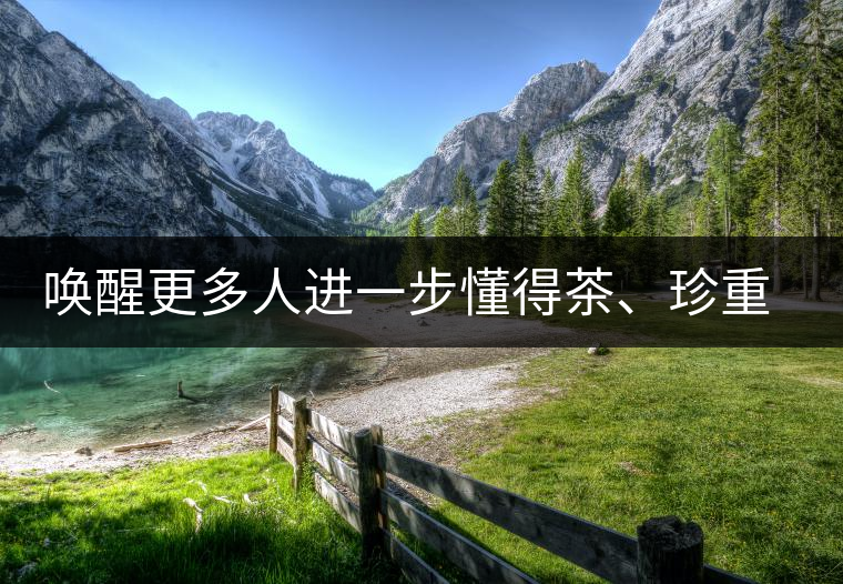 喚醒更多人進一步懂得茶、珍重茶、享受茶