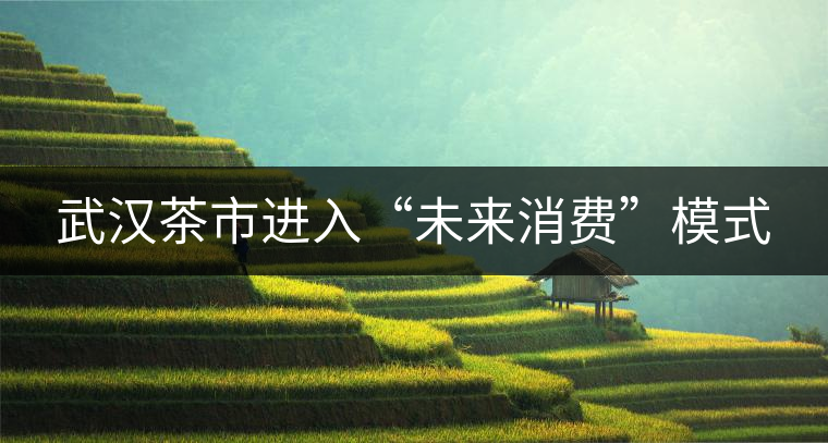 武漢茶市進(jìn)入“未來消費”模式 武漢茶市進(jìn)入“未來消費”模式