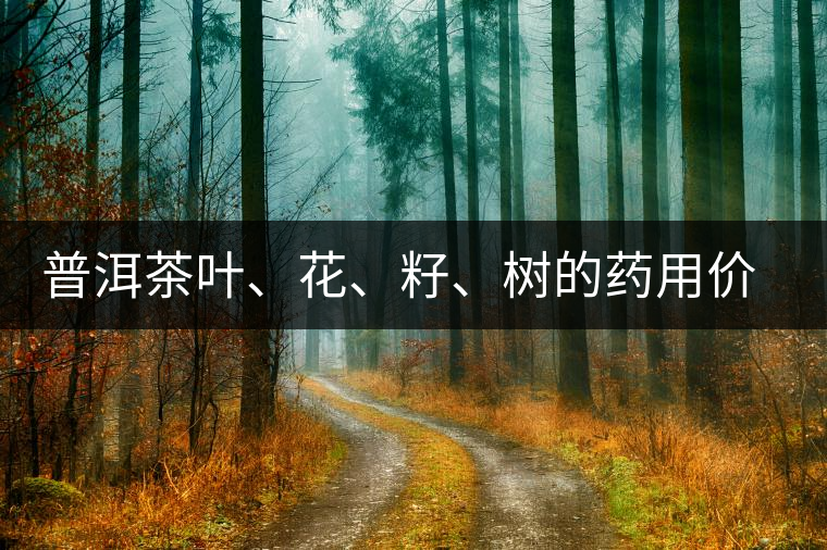 普洱茶葉、花、籽、樹的藥用價值