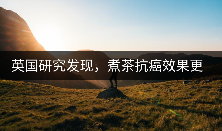 英國研究發(fā)現(xiàn)，煮茶抗癌效果更明顯