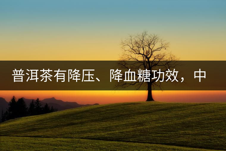 普洱茶有降壓、降血糖功效，中老年人不再懼怕糖尿病