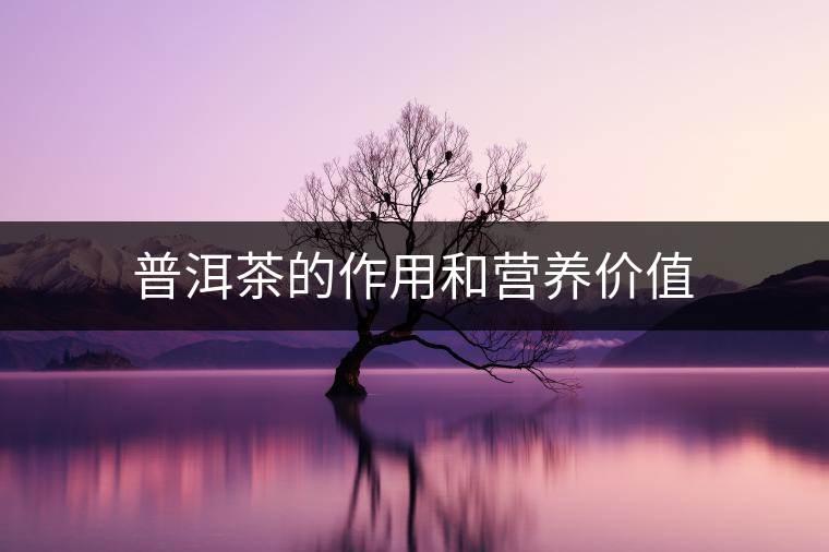 普洱茶的作用和營養(yǎng)價(jià)值