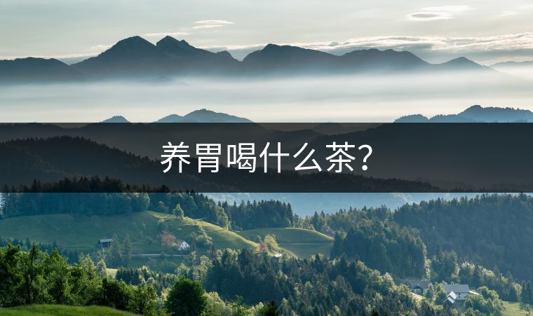 養(yǎng)胃喝什么茶？