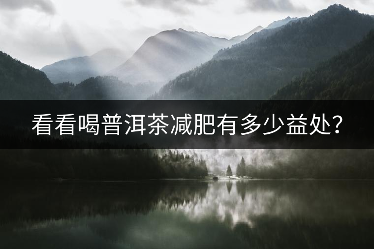 看看喝普洱茶減肥有多少益處？