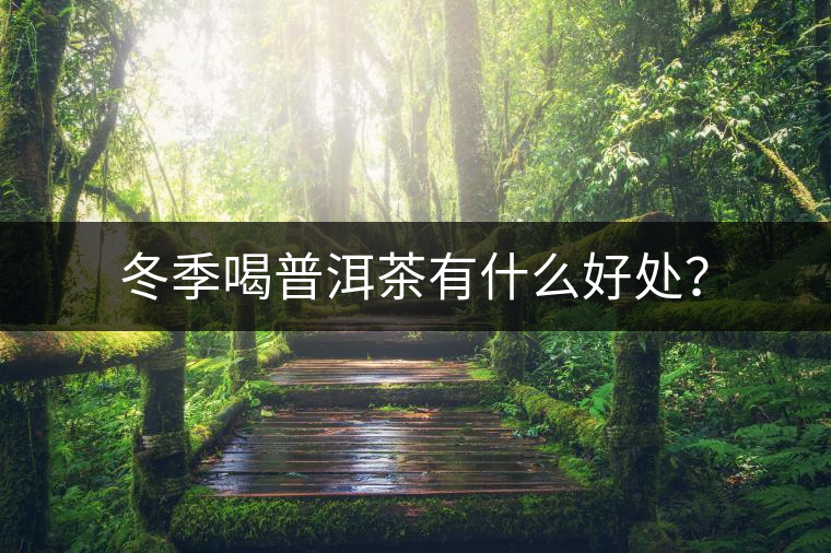 冬季喝普洱茶有什么好處？