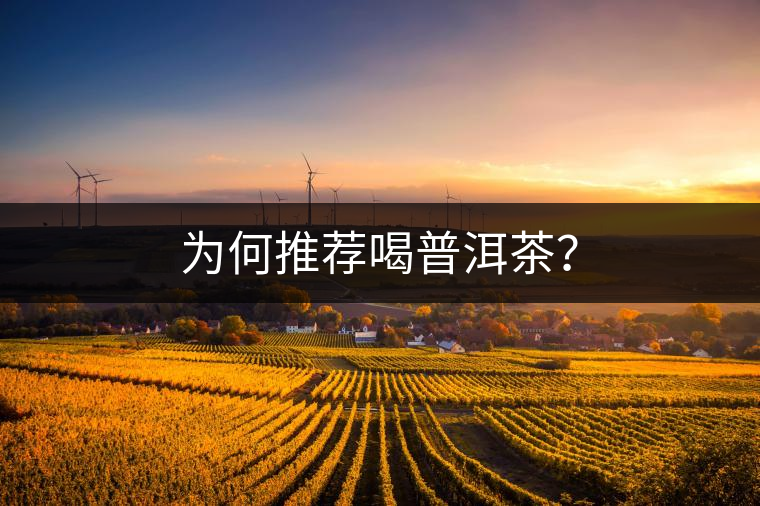 為何推薦喝普洱茶？