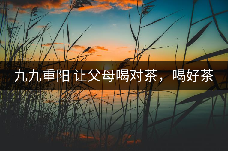 九九重陽 讓父母喝對茶，喝好茶