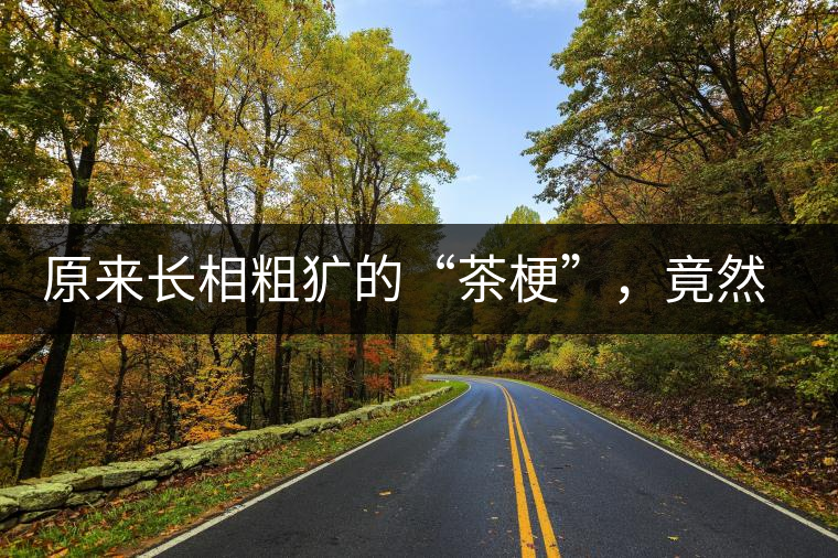 原來(lái)長(zhǎng)相粗獷的“茶?！保谷贿€有這么多的作用