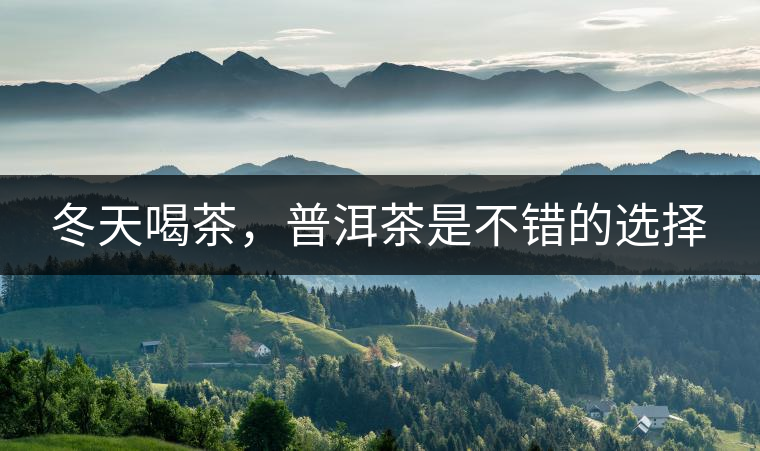 冬天喝茶，普洱茶是不錯(cuò)的選擇