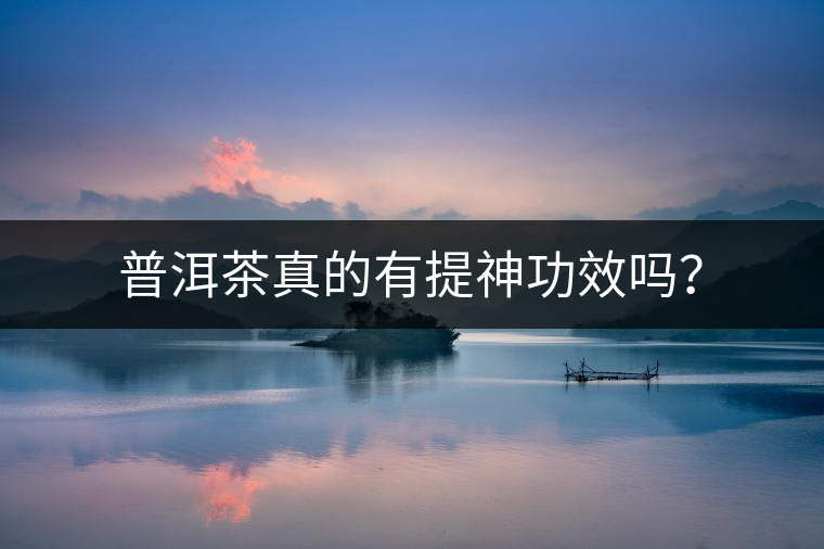 普洱茶真的有提神功效嗎？