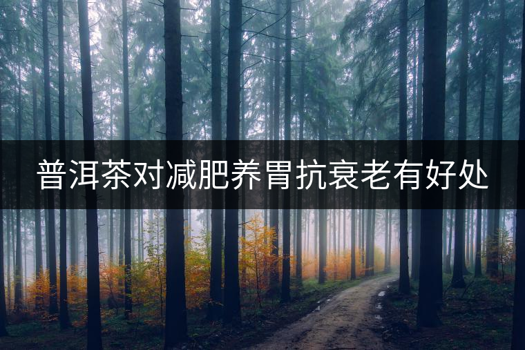 普洱茶對(duì)減肥養(yǎng)胃抗衰老有好處 普洱茶對(duì)減肥養(yǎng)胃抗衰老有好處