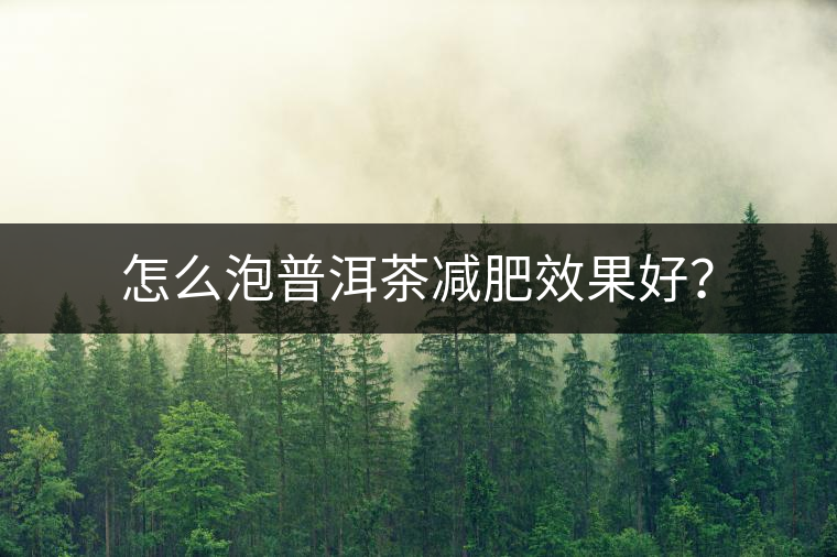 怎么泡普洱茶減肥效果好？