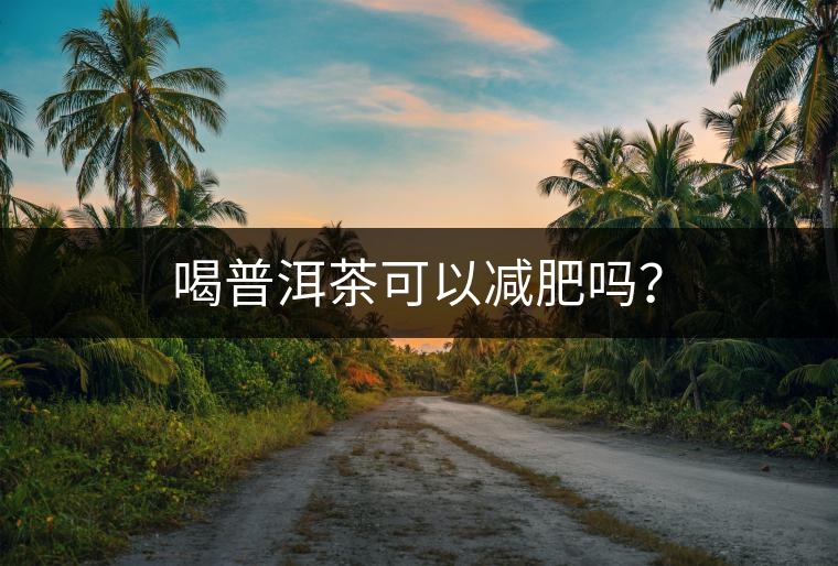 喝普洱茶可以減肥嗎？