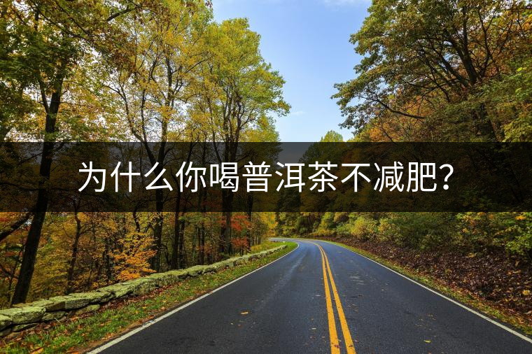 為什么你喝普洱茶不減肥？