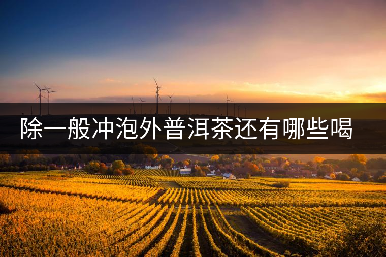 除一般沖泡外普洱茶還有哪些喝法？