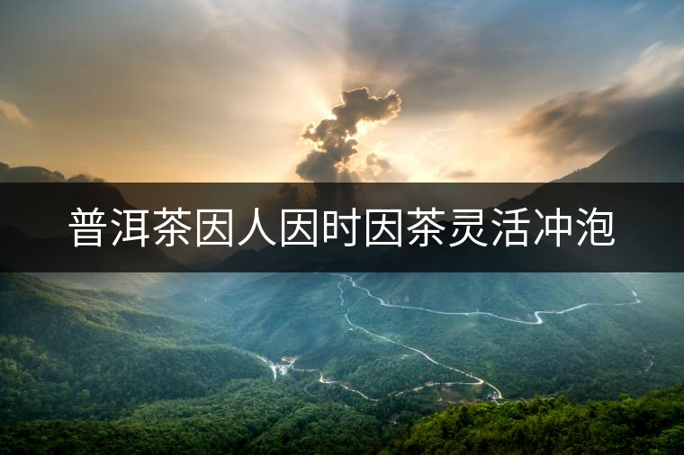 普洱茶因人因時因茶靈活沖泡