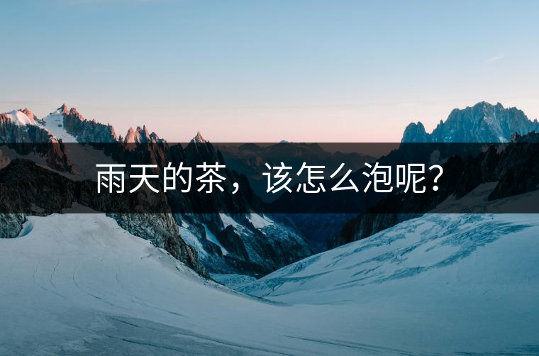 雨天的茶，該怎么泡呢？