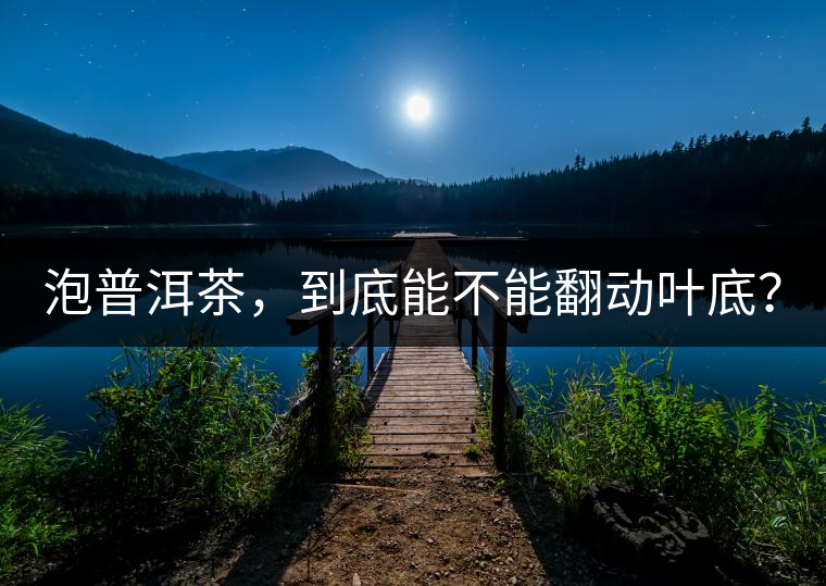 泡普洱茶，到底能不能翻動葉底？