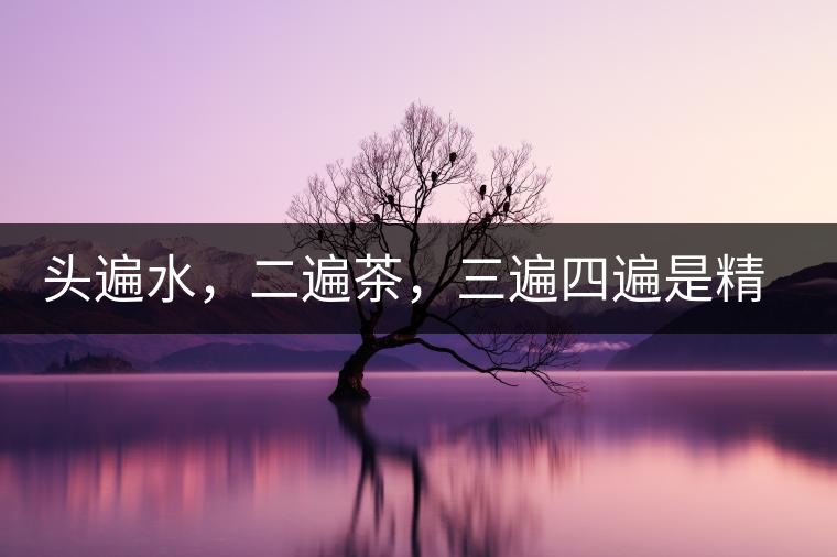 頭遍水，二遍茶，三遍四遍是精華