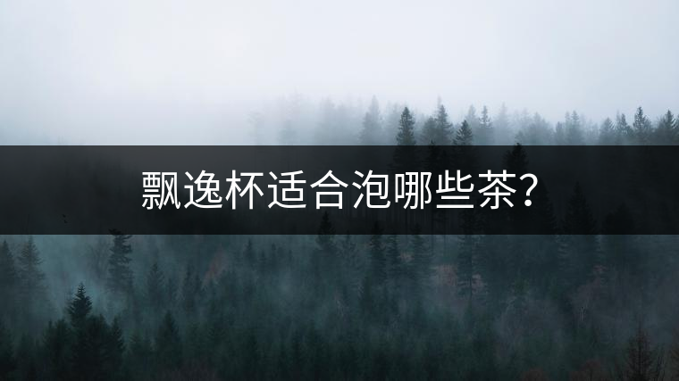 飄逸杯適合泡哪些茶？