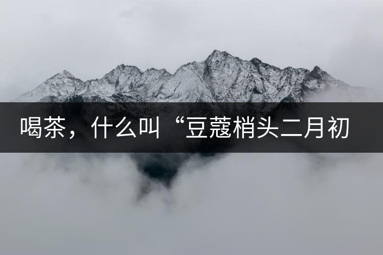 喝茶，什么叫“豆蔻梢頭二月初”？