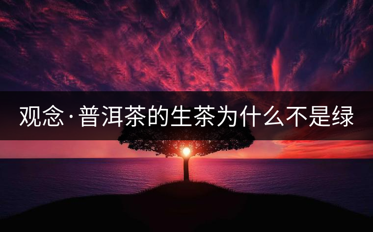 觀念·普洱茶的生茶為什么不是綠茶？