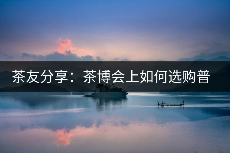 茶友分享：茶博會上如何選購普洱茶？