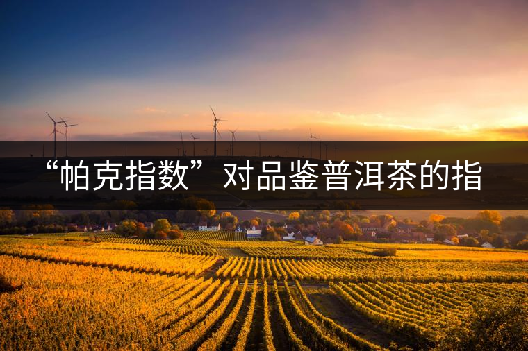 “帕克指數(shù)”對品鑒普洱茶的指導(dǎo)意義在哪里？「跨界有道」