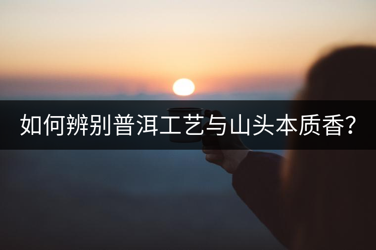 如何辨別普洱工藝與山頭本質(zhì)香？