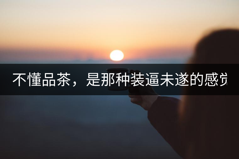 不懂品茶，是那種裝逼未遂的感覺？