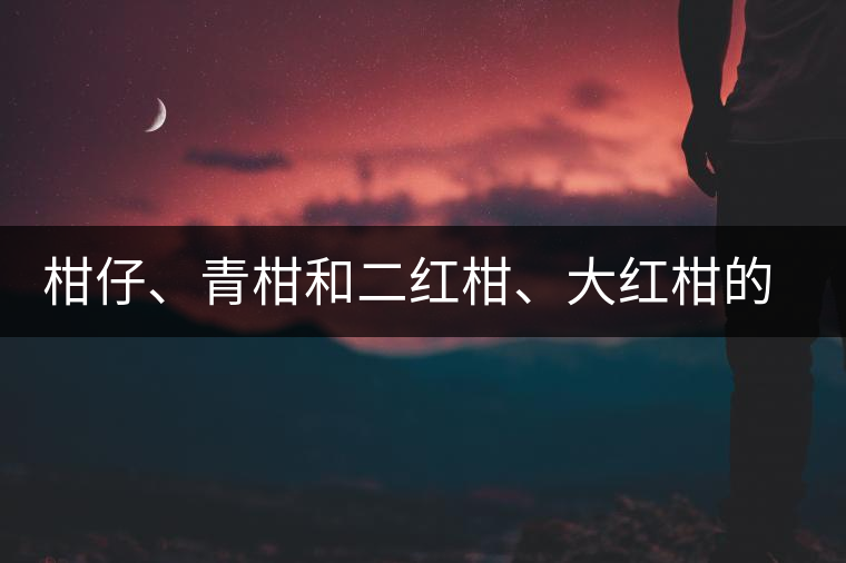 柑仔、青柑和二紅柑、大紅柑的區(qū)別，你可知道？