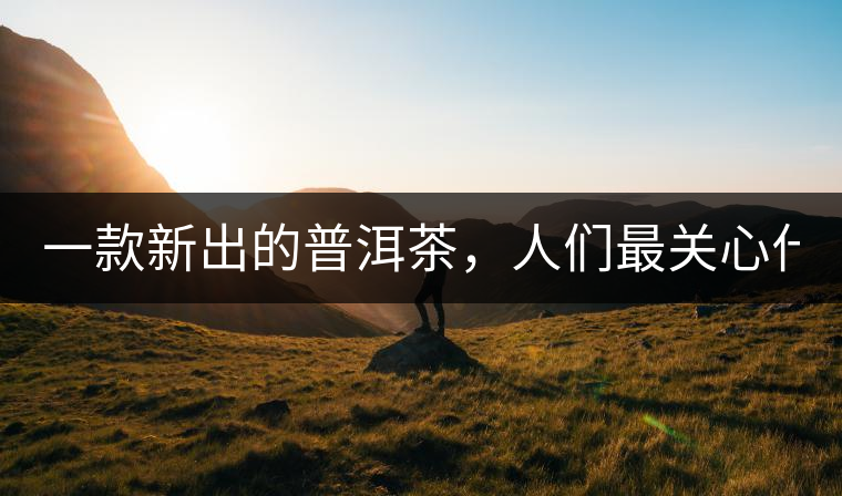 一款新出的普洱茶，人們最關(guān)心什么?
