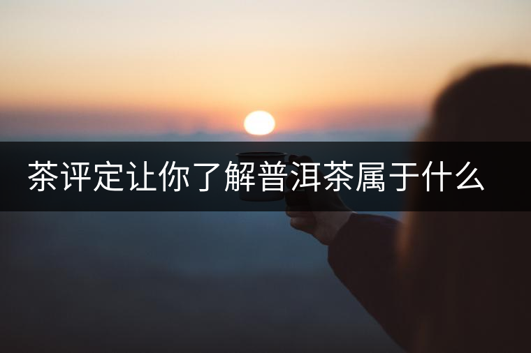 茶評定讓你了解普洱茶屬于什么茶系？