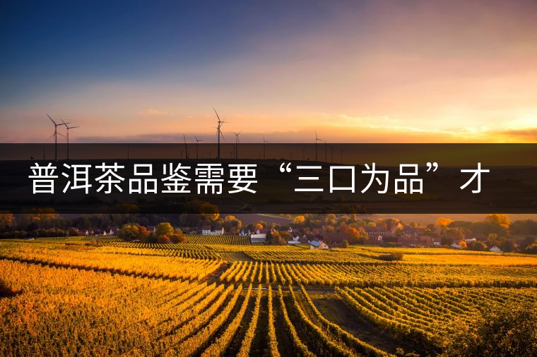 普洱茶品鑒需要“三口為品”才真實(shí)，那從哪里入手品鑒呢？